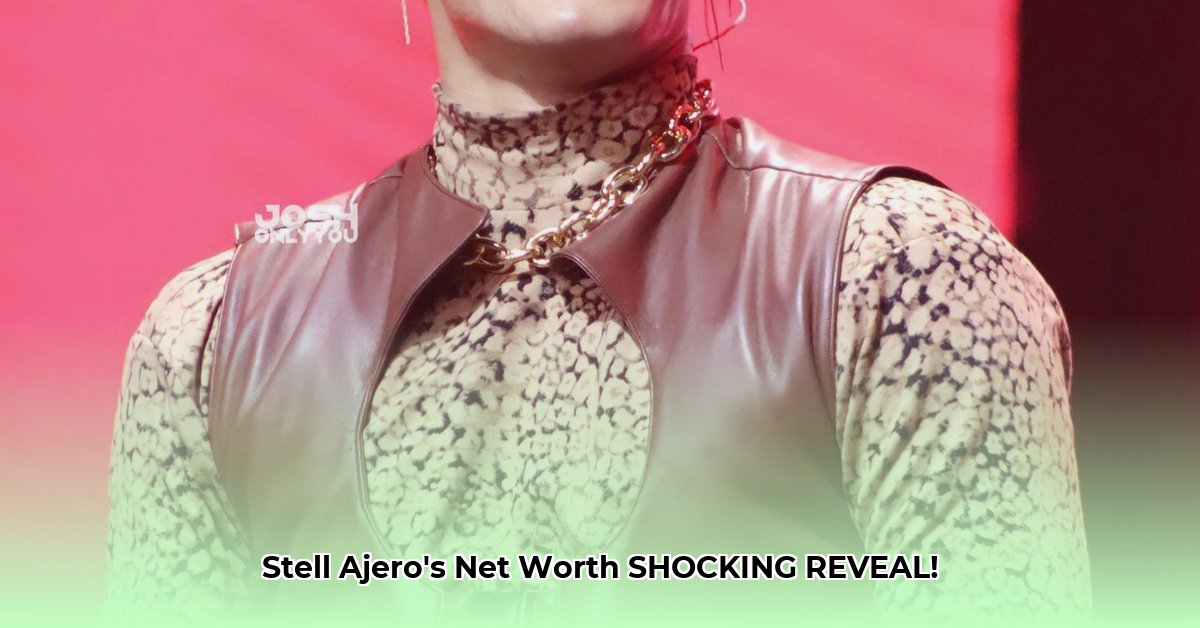 stell-ajero-net-worth